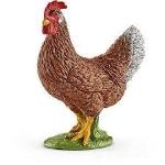 GALLINA -12471-