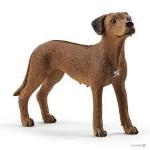 RHODESIAN RIDGEBACK CANE -13895