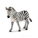 ZEBRA FEMMINA GIOVANE -20780-